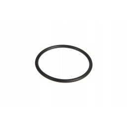 6005019089 o-ring