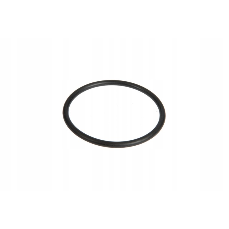 6005019089 o-ring