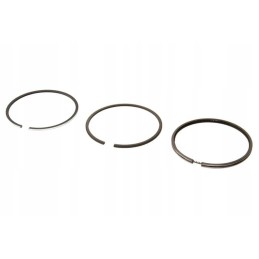 1908737gp piston ring set