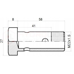 Screw 2x eyelet M22x1 5 h 41mm l 58mm hydrolider