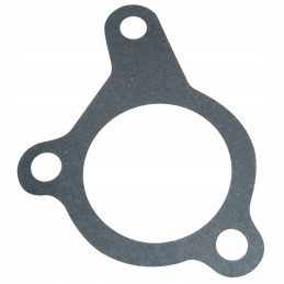 Oil filler seal c 385 80002064