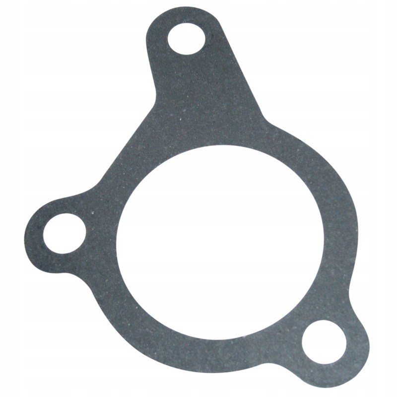 Oil filler seal c 385 80002064