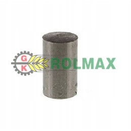 Pin fiat 30 8000 ford 90 18x33 4mm 5102288