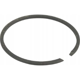 Piston ring