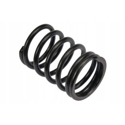 Valve spring vpa2014