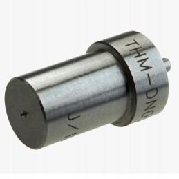 Injection tip THM DN0SD193 Iveco