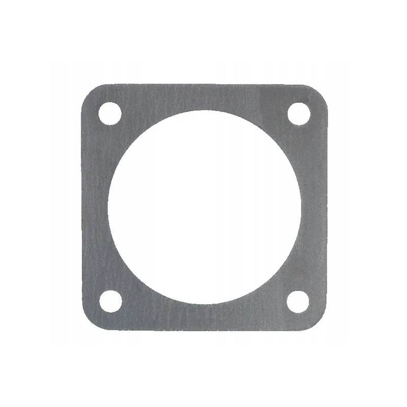 Heads gasket