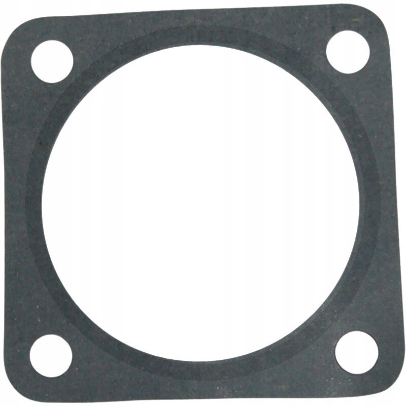 Torque multiplier gasket 80126055