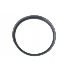 Reinforced seal c 385 80126026