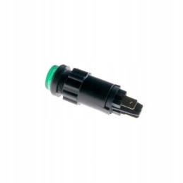 Green dashboard indicator light