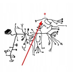 Va339780 wiring harness