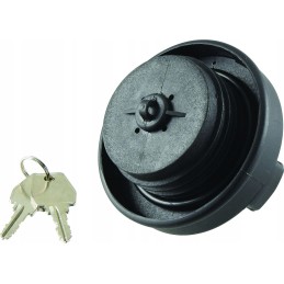 Fuel filler cap 65289 226384a1