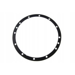 Final drive ring gear seal c 385