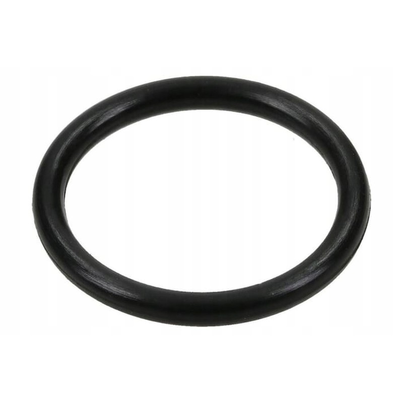 001051251 o-ring seal