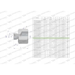 Inch differential sleeve AB 1 2 male x 1 4 BSP 2 pcs