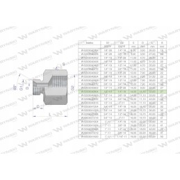 Inch differential sleeve AB 1 2 male x 1 4 BSP 2 pcs