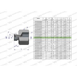 Inch differential sleeve AB 1 2 male x 1 8 BSP 2 pcs