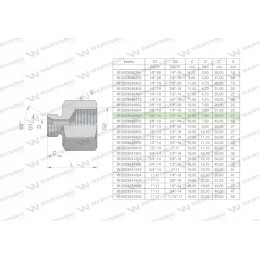 Inch differential sleeve AB 3 8 threads x 1 2 bsp 2 pcs