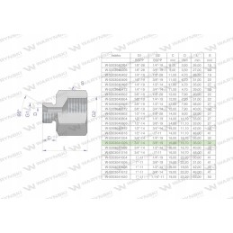 Inch differential sleeve AB 3 4 male x 3 8 BSP 2 pcs
