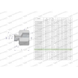 Inch differential sleeve AB 3 4 male x 1 2 BSP 2 pcs