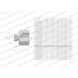 Inch differential sleeve AB 3 4 male x 1 4 BSP 2 pcs