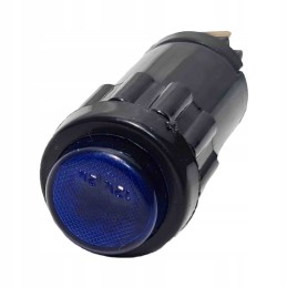 Blue dashboard indicator light