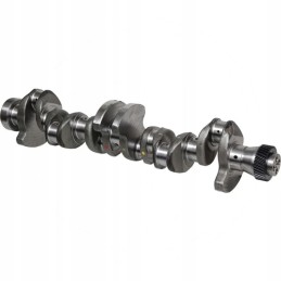 Crankshaft 6 cyl standard forged 38006494