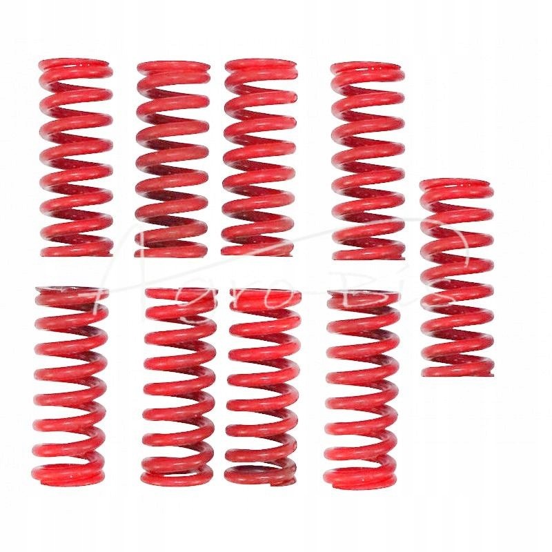 Clutch spring set 887909m1 mf3 andoria mo