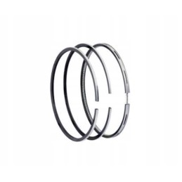 Perkins mf ferguson piston rings 100 00 mm