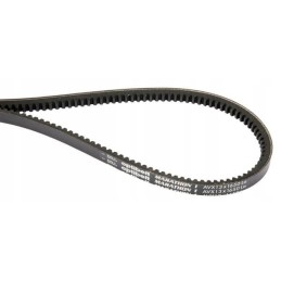 Toothed V-belt AVX 13 1625 mm