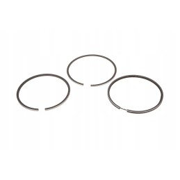 42208 piston rings