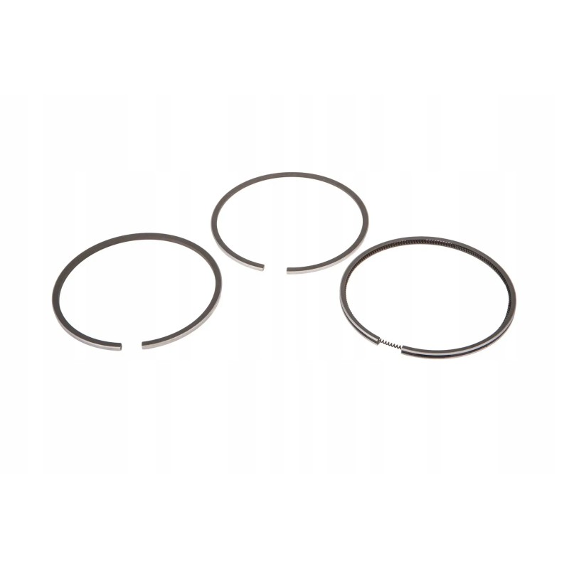 42208 piston rings