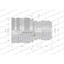 Screwed hydraulic quick connector, g1 plug 2