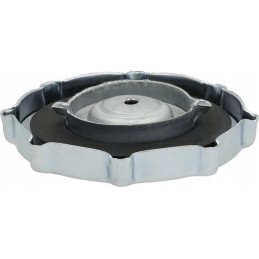 Fuel filler cap nh