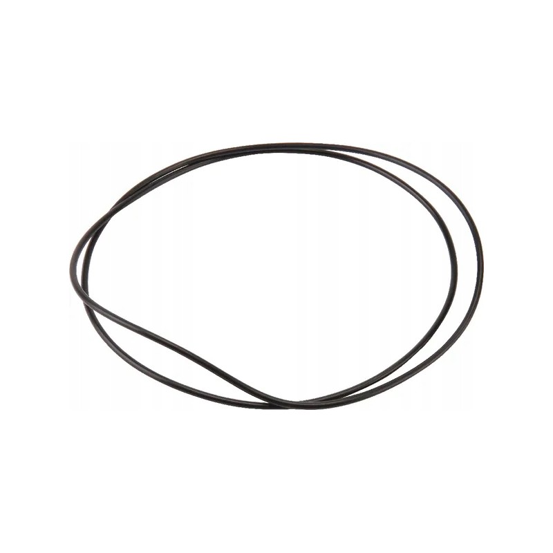 Sealing ring for the brake ring