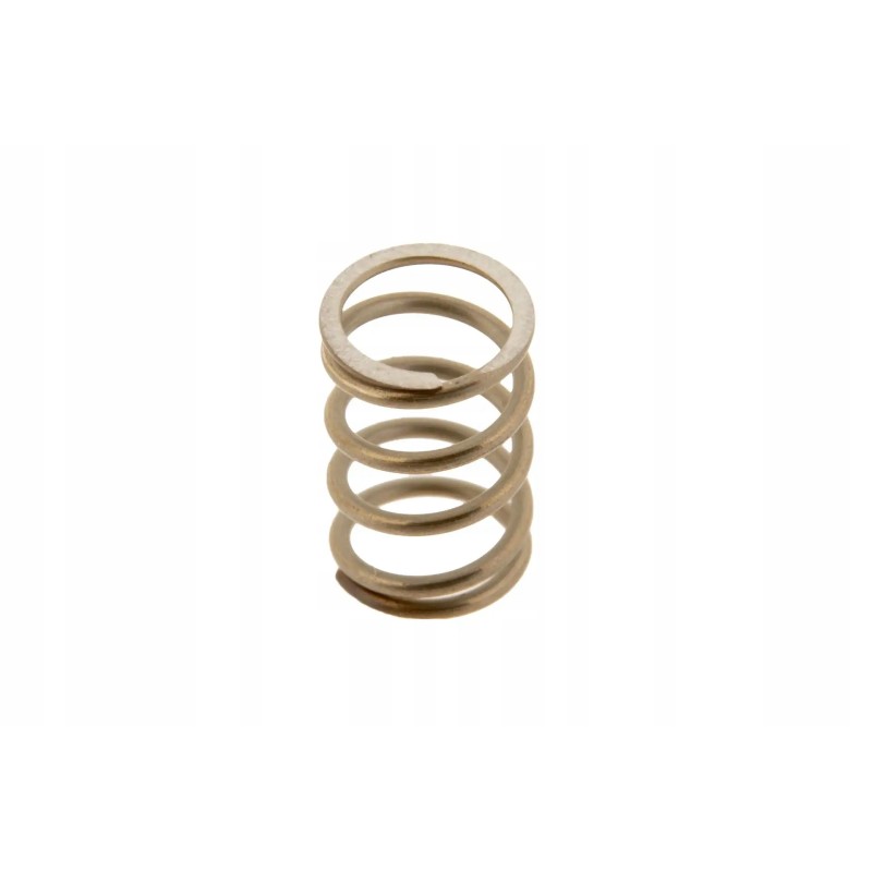 246860101430 pressure spring