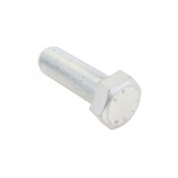 La15988321 6-point screw with full thread M20