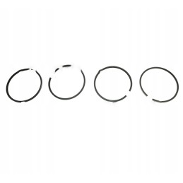 Set of engine piston rings nominal q 100