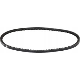 Toothed V-belt avx 10 750 mm