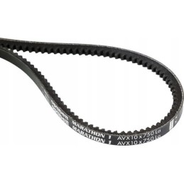 Toothed V-belt avx 10 750 mm