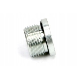 Hydra metric plug for Allen key M22x1 5 ed Warynski