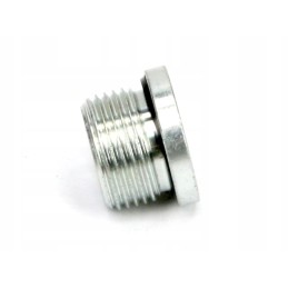 Hydra metric plug for Allen key M22x1 5 ed Warynski