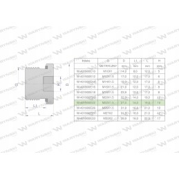 Hydra metric plug for Allen key M22x1 5 ed Warynski