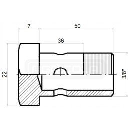 Screw 2x eyelet G3 8 h 36mm l 50mm hydrolider