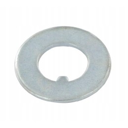 180010m1gp washer
