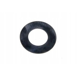 Satellite C 385 thrust washer