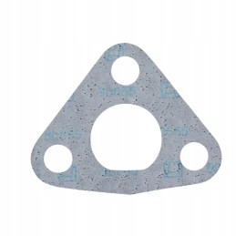 Seal fiat 38007294 98400788 granite