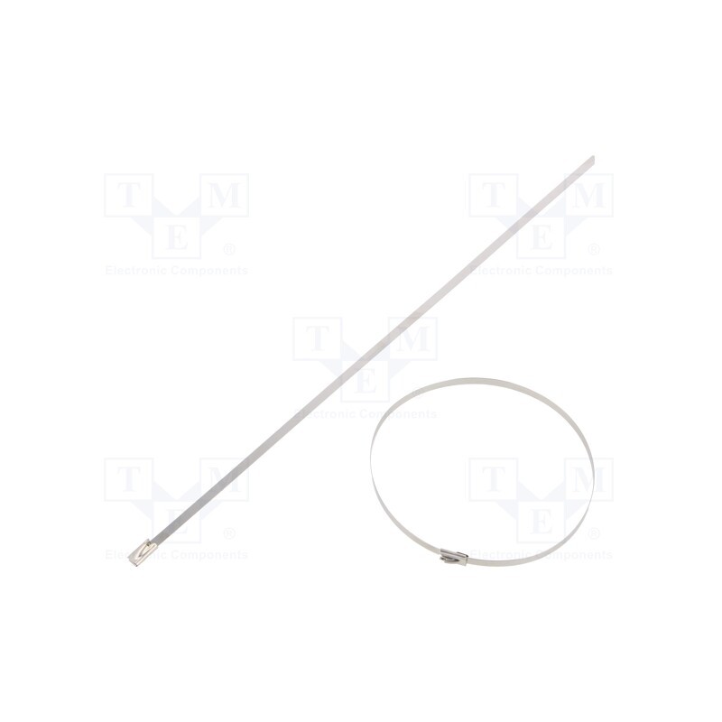 100 pcs x BM GROUP - BMS3045 - Cable tie, L: 300mm, W: 4.6mm, stainless steel AISI 304, 890N
