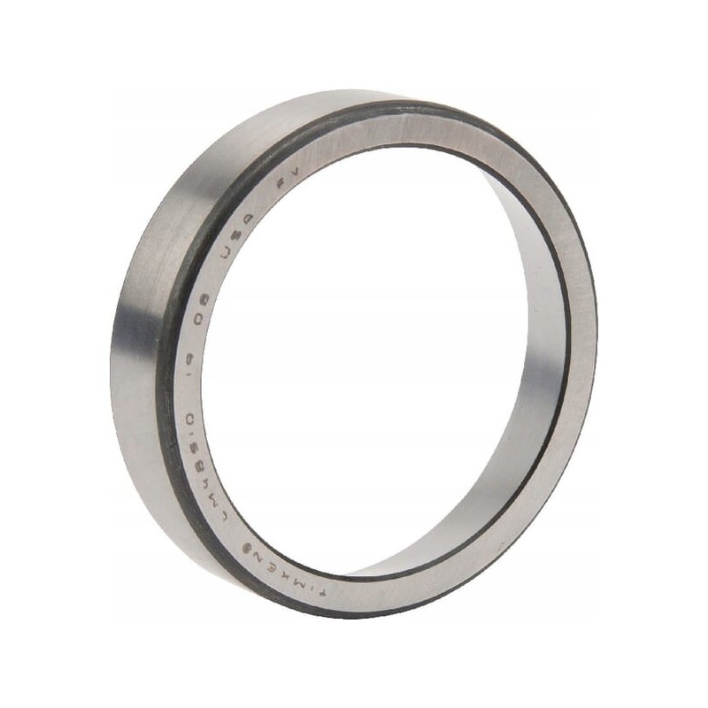 The outer breast of the cones