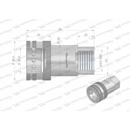 Hydraulic quick connector, G3 4 BSP socket, W thread
